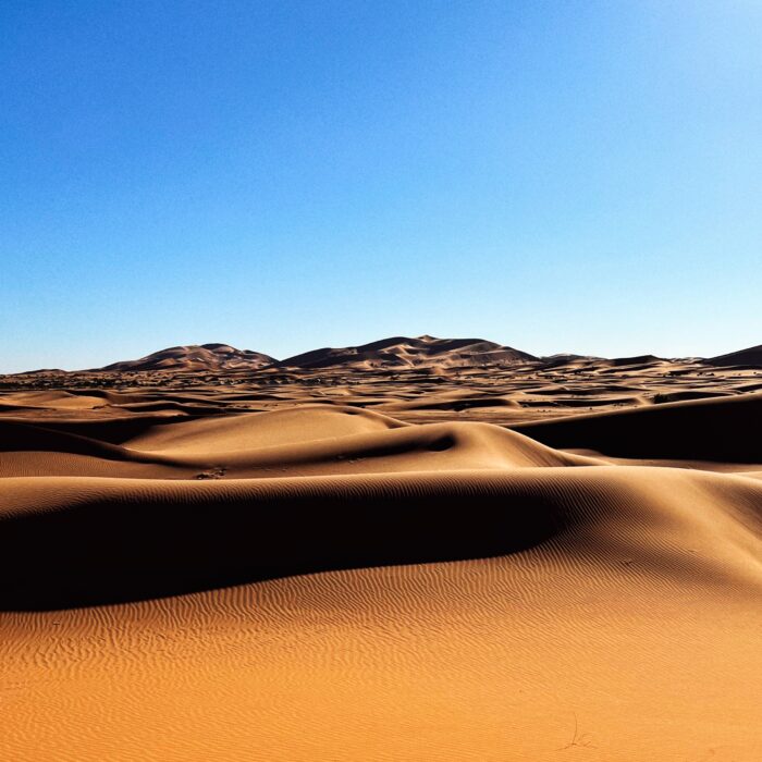 Sand dunes across the Sahara Desert.